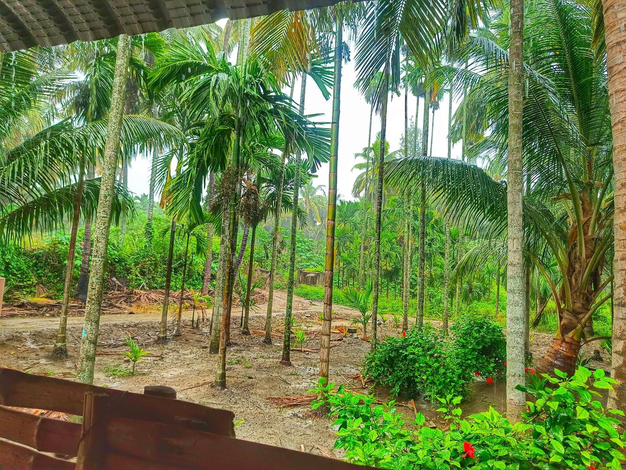 Shivalaya Farmstay Located Amdist Coconut Farm With River Access Near Isha,Adiyogi,Siruvani Alāndurai Dış mekan fotoğraf