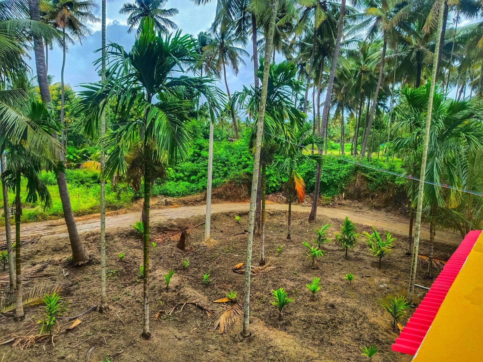 Shivalaya Farmstay Located Amdist Coconut Farm With River Access Near Isha,Adiyogi,Siruvani Alāndurai Dış mekan fotoğraf