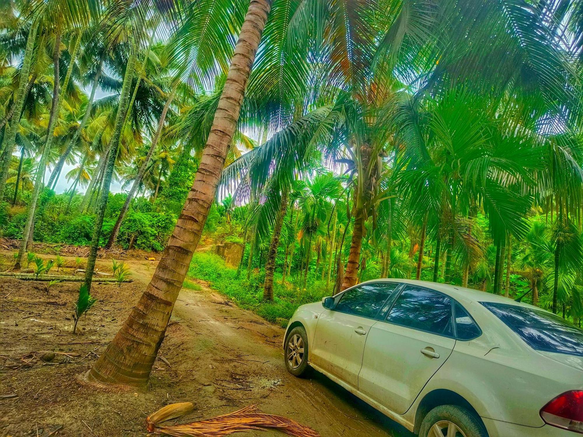 Shivalaya Farmstay Located Amdist Coconut Farm With River Access Near Isha,Adiyogi,Siruvani Alāndurai Dış mekan fotoğraf